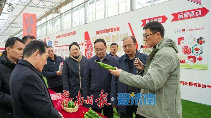 济南“科技小院”激活乡村振兴新引擎