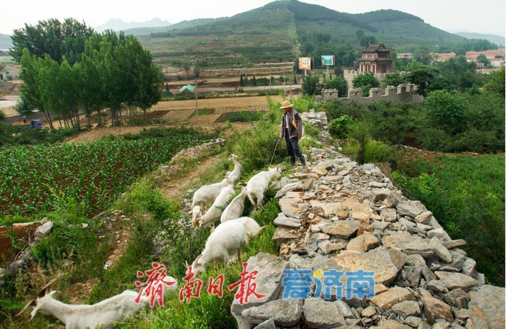 以泉城担当护长城文脉 让千年遗产焕时代新声