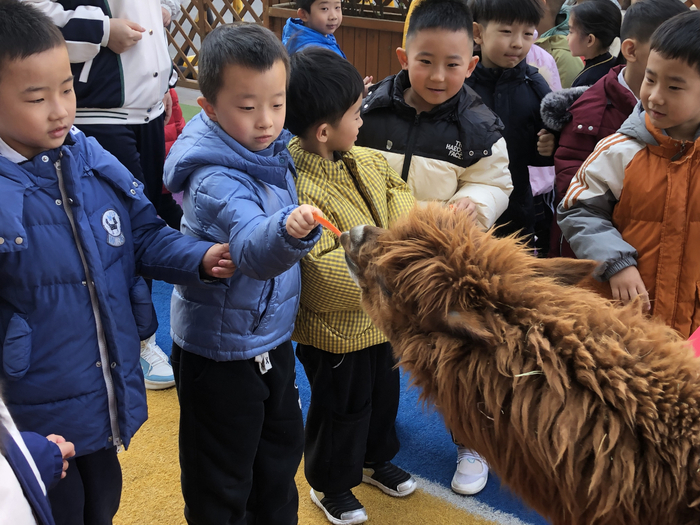 研学旅游创新产品典型案例，济南6个入选，全省第一