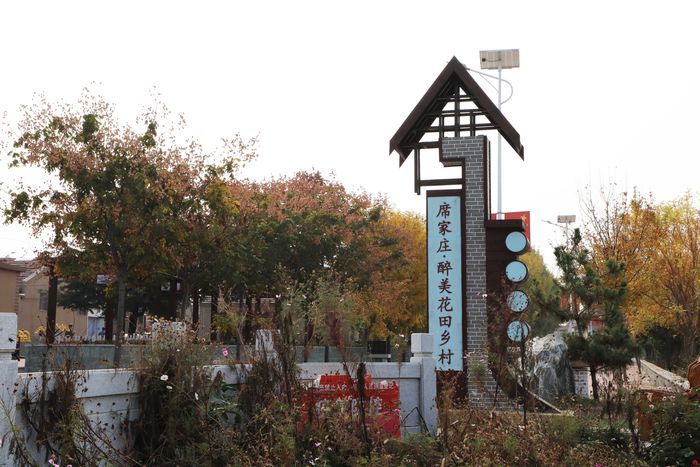 槐荫：纵横通衢畅达八方