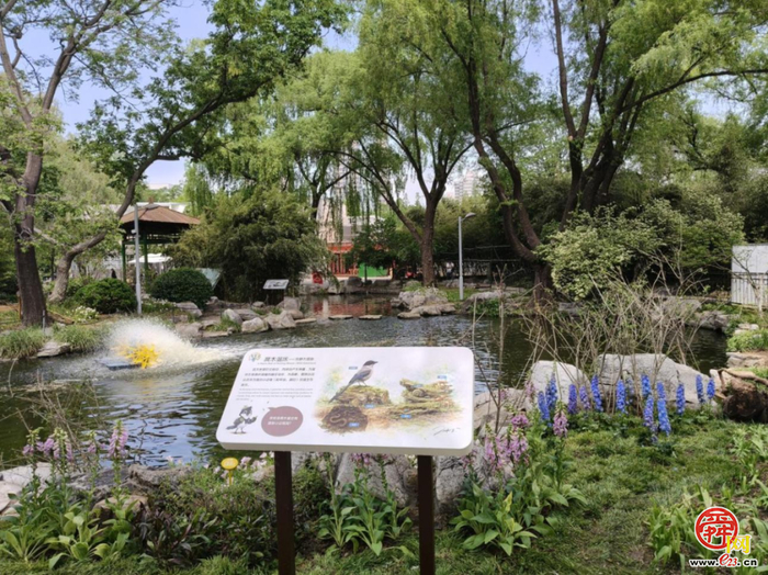 山东省第45届爱鸟周主题活动暨“生境花园”开园在泉城公园举行