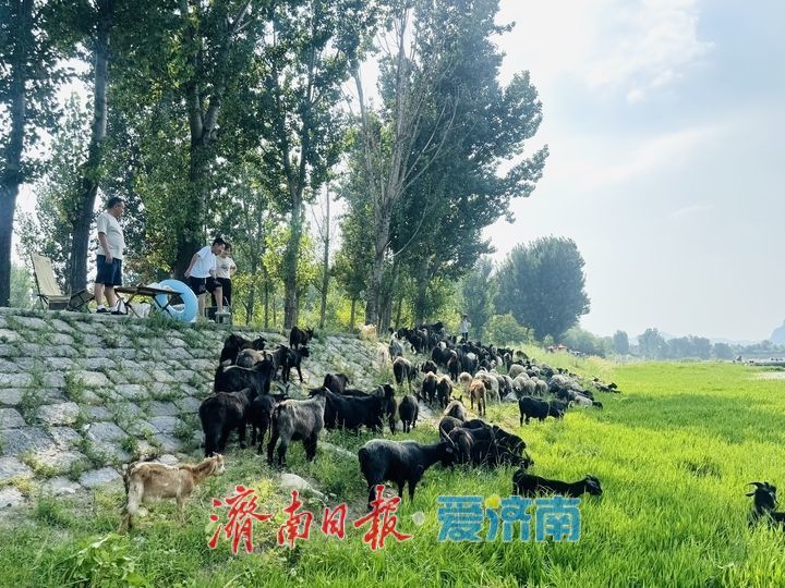 立秋降温体感舒适 济南玉带河成市民周末亲水好去处