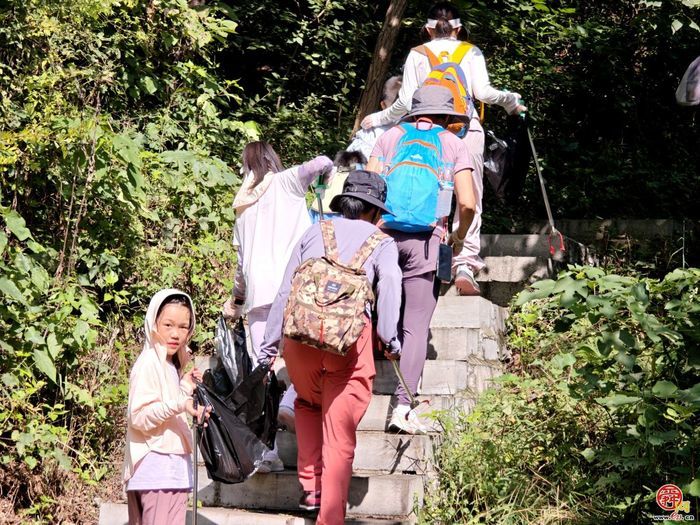 走“净”黑峪林场  履“植”不止种树   2026济南暑期“互联网+全民义务植树”尽责活动举行