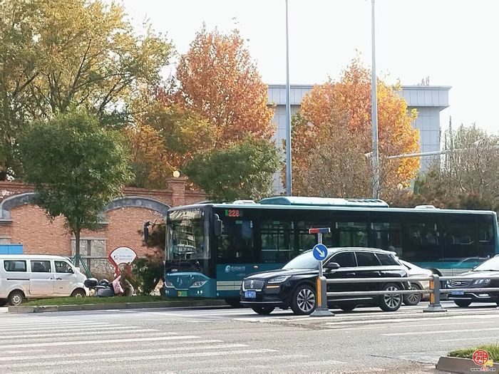跟着济南K228路赶大集，泉城年味儿装满车