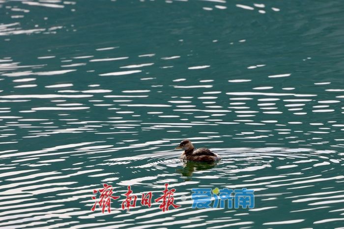 ůˮůѼ֪ʫʱ