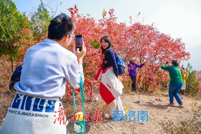一年四季 泉在济南丨济南蝎子山秋色“美出圈”！半山红妆半山青翠，独特“鸳鸯火锅”景观引客来