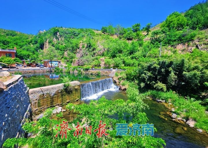 草木葱茏满目新 邂逅山野好风光