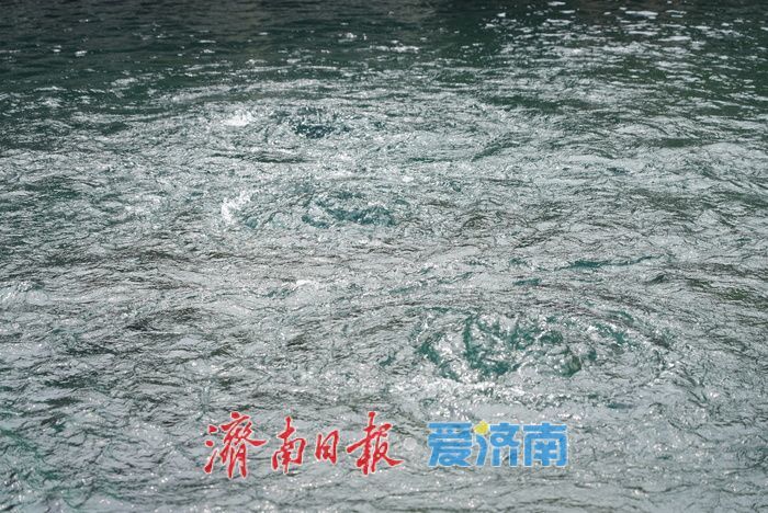 一年四季 泉在济南丨“趵突腾空”胜景在线 游客纷至沓来赏泉韵