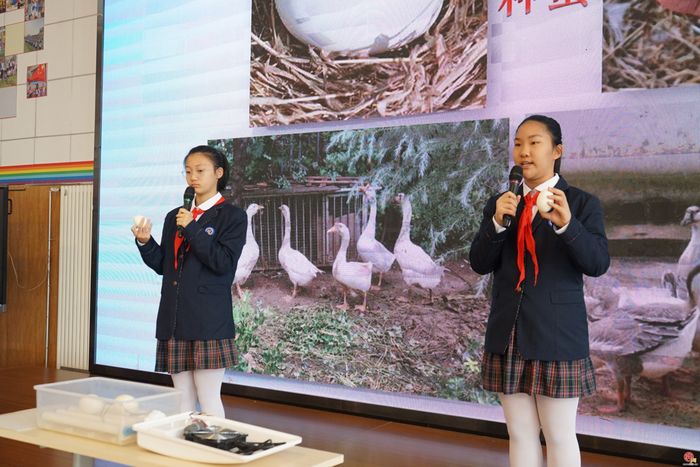 春播启新 耕育成长 —— 原山小学第七届春播节圆满举行