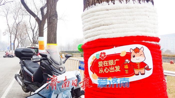 泉城广场树干“穿”彩衣 寒冬添暖又添景