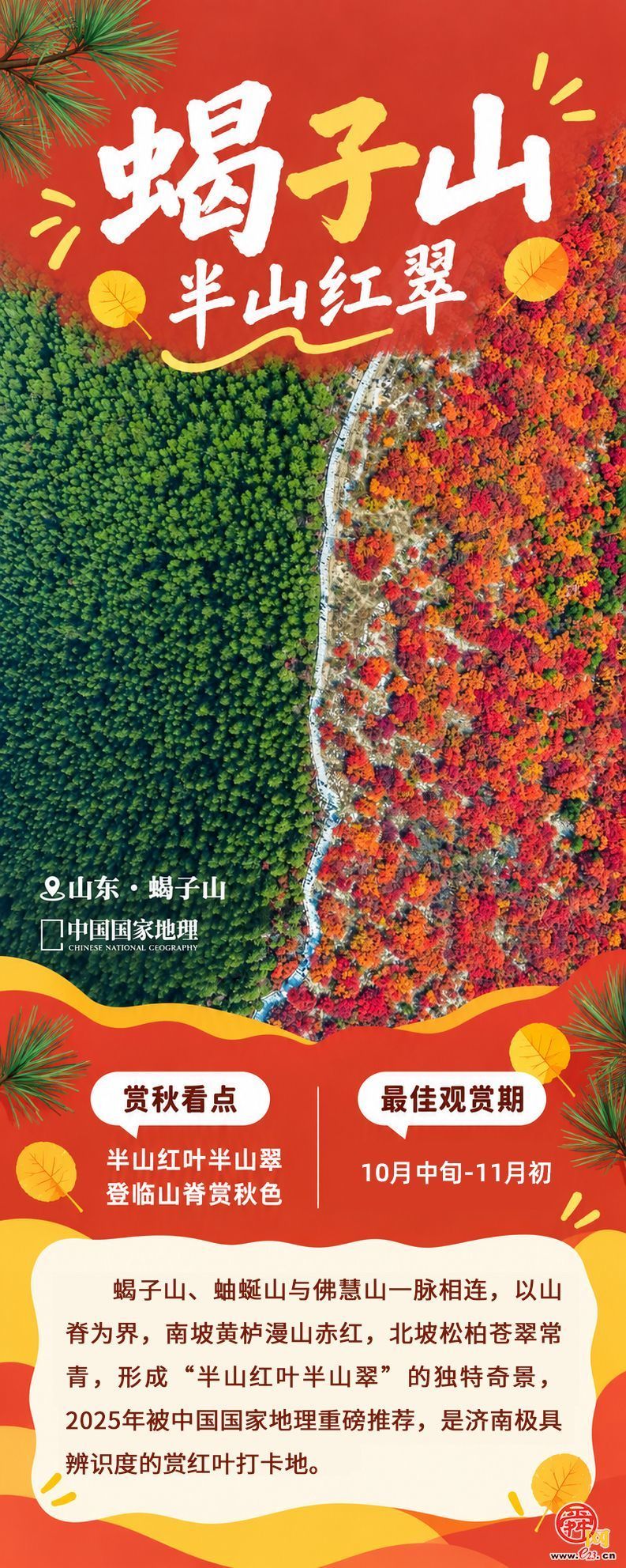 现在出发正当时！泉城红叶迎来最佳观赏期