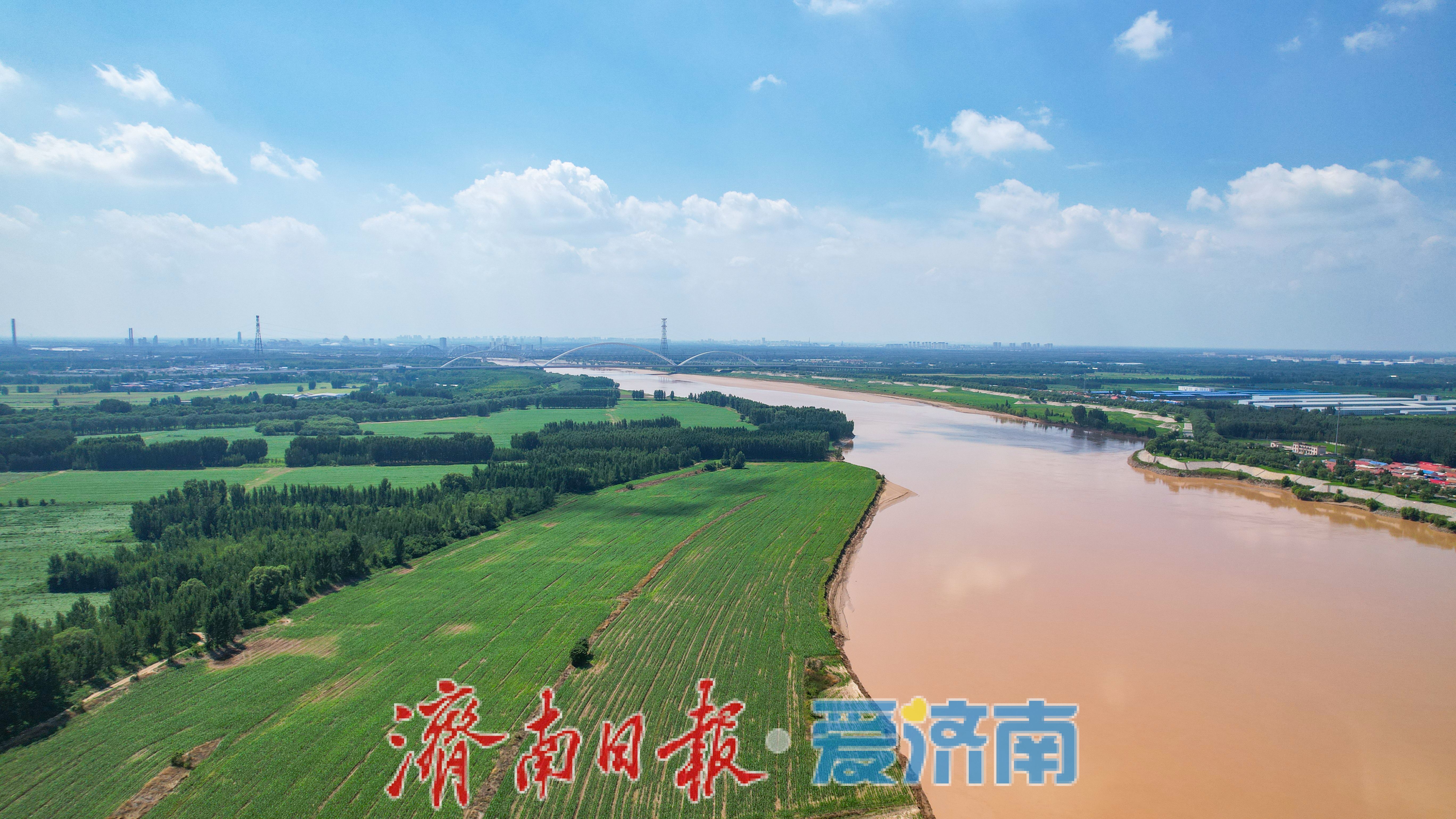 一年四季 泉在济南丨济南黄河美景如画，生态廊道尽显泉城魅力