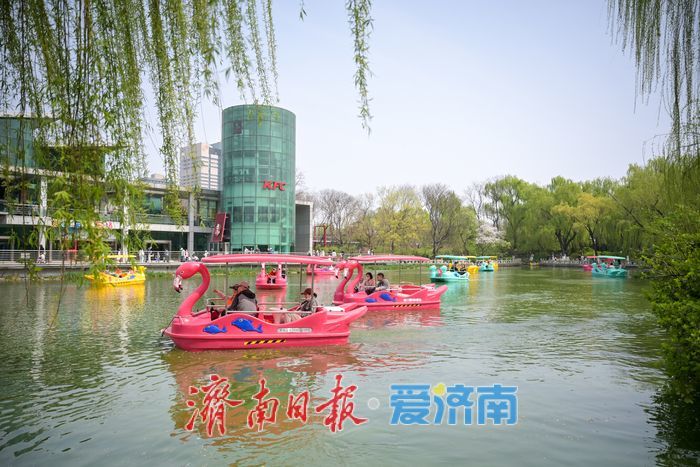 花朝荟引客来，泉城公园赏花热