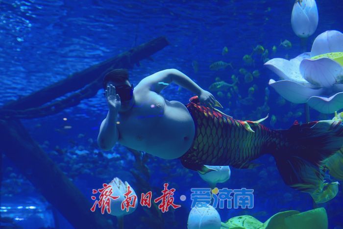 济南“胖人鱼”火爆出圈 解锁城市“圈粉”流量密码