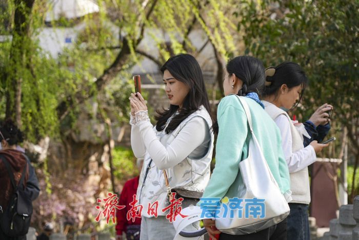 济南护城河畔春意浓