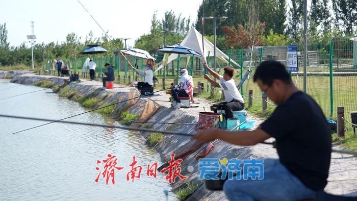 从“城市供应链”到“乡村产业链”——济南起步区新农人赵振华的二十年归途