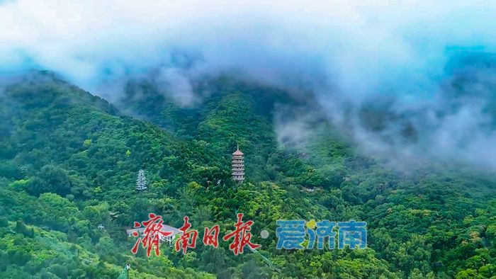 一年四季 泉在济南丨济南初夏秘境！雨后红叶谷云海翻涌，美到窒息
