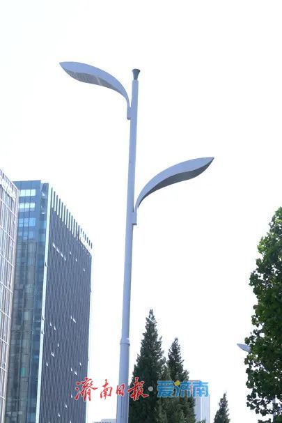 项目强省会｜细节满满！一起来了解工业南路“华丽转身”