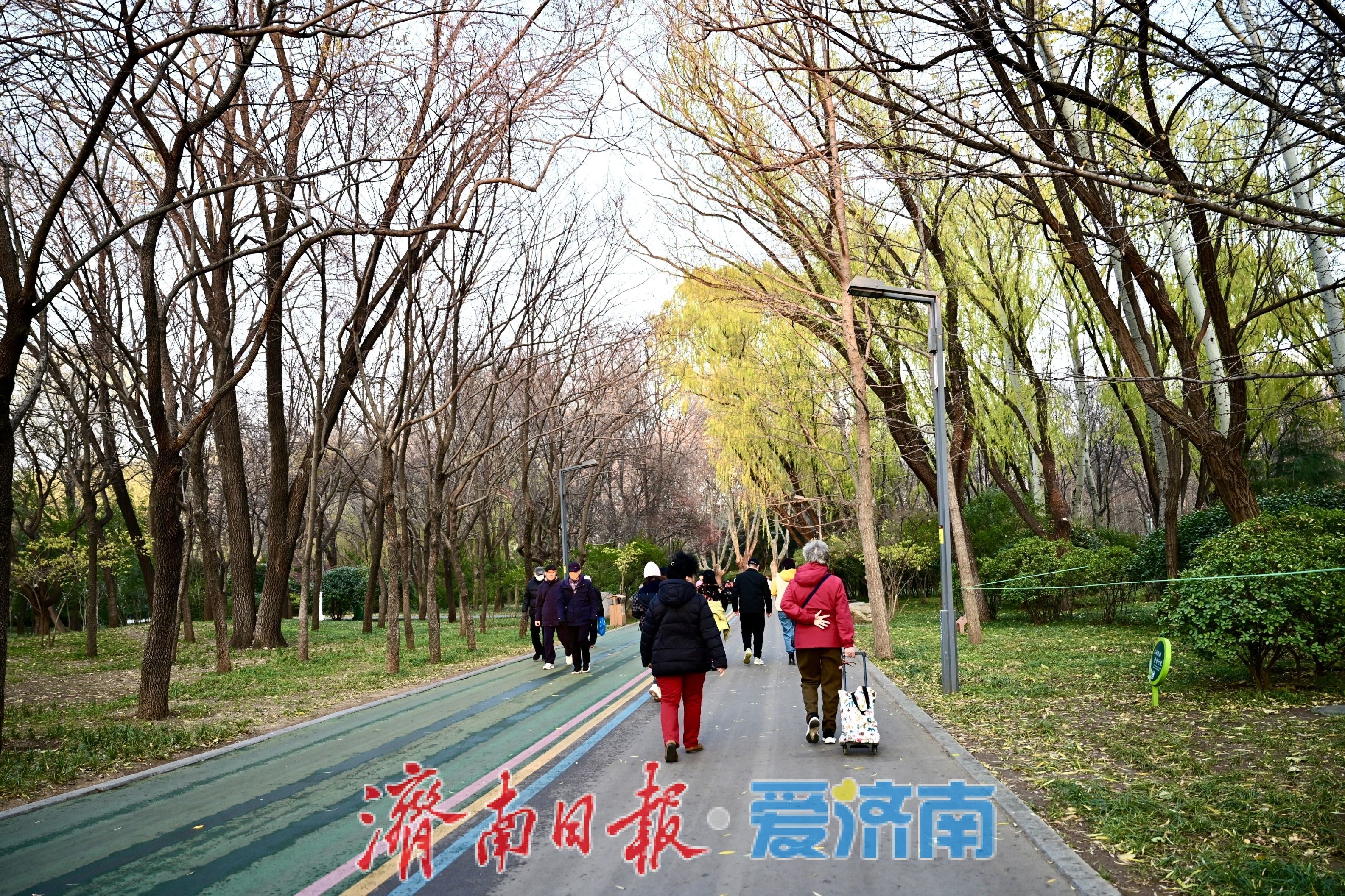 一年四季 泉在济南丨暖冬里的森林公园，市民乐享好去处