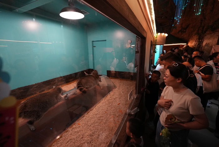 暑期接近尾声 游客“海底”觅清凉