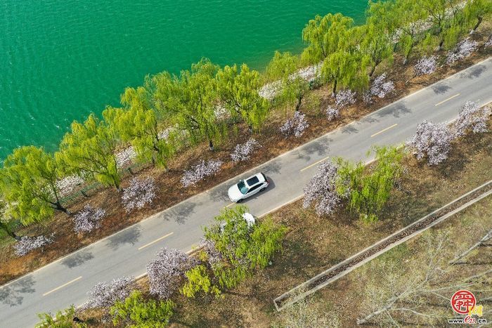 点击进入DeepSeek眼中玉清湖街道！