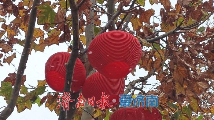 济南迎来今冬初雪 引行人驻足拍照留念