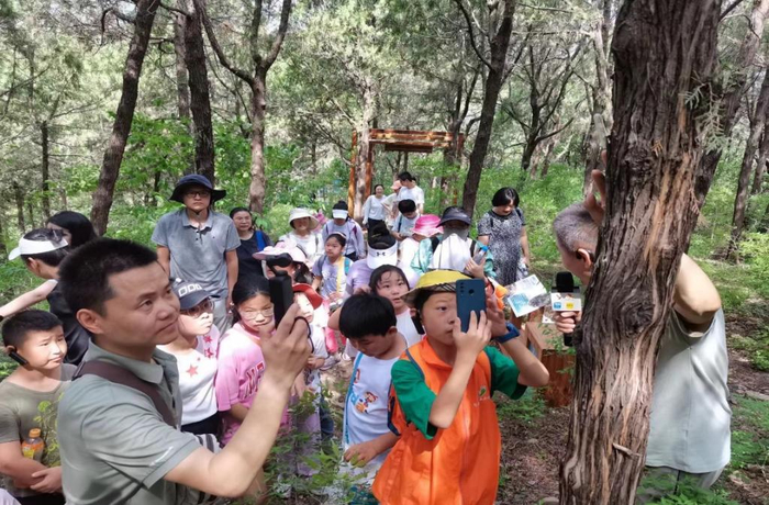 瀚阳学校成长共同体一起探秘没有围墙的博物馆