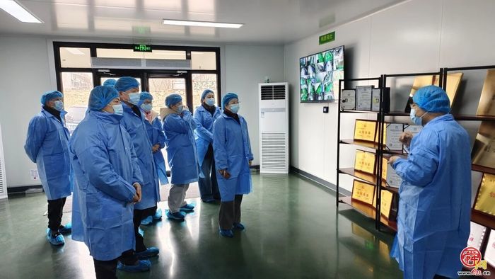 理念引领 实践支撑 根基筑牢——三个关键词，看市中教育如何落实“健康第一”