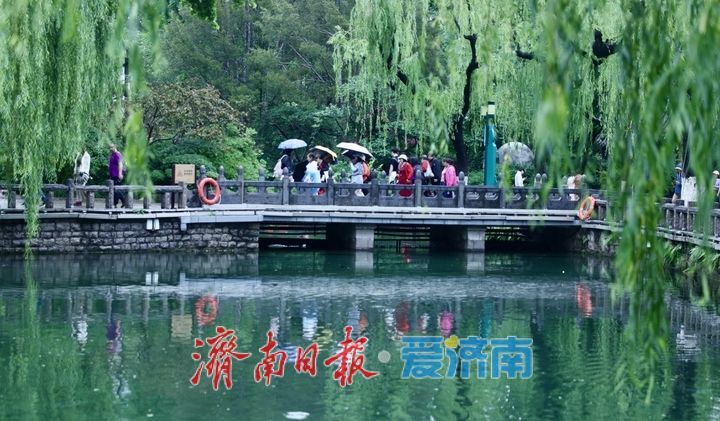 一年四季 泉在济南｜烟雨入泉城 “泉水游”热度不减