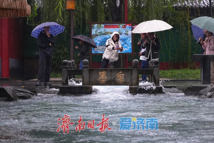 一年四季 泉在济南丨喷“嗨”了！墨泉雨中喷涌如沸 再现“一泉成河”壮丽奇观