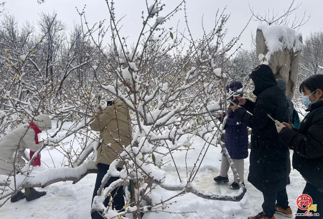雪漫泉城园 九景入画来