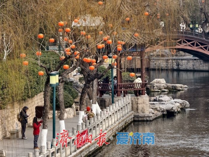 一年四季 泉在济南｜张灯结彩，年味渐浓！