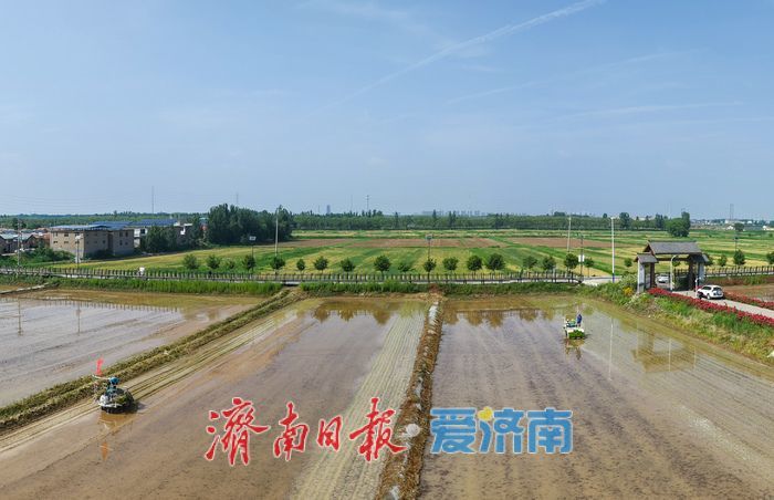 小满时节插秧忙