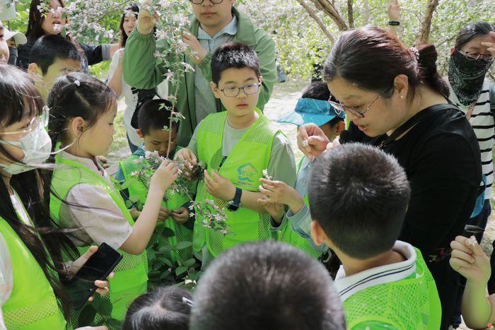 泉民园艺中心花事追踪：与“星星”共赴花朝之约