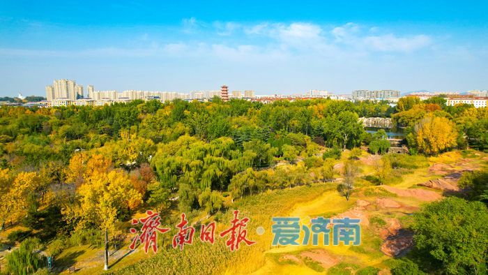 莱芜红石公园秋意浓 红石秋叶绘就多彩画卷