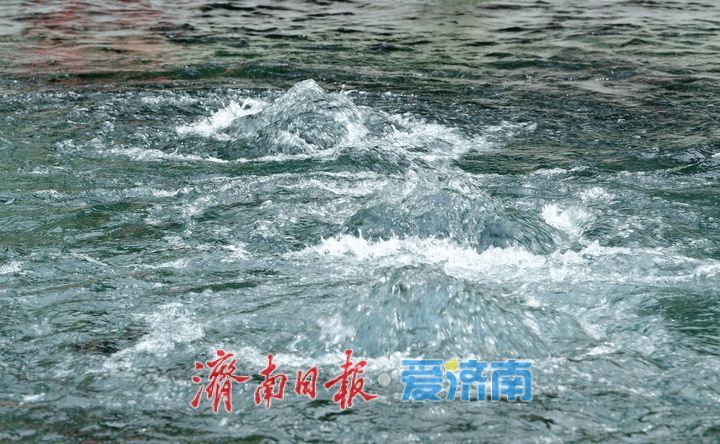 “毕业季”牵手端午假期，济南暑期“泉水游”提前迎来高峰期