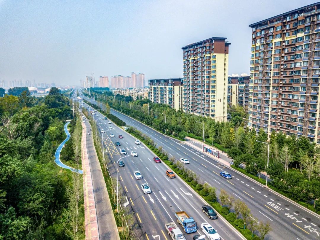 项目强省会｜喜报！三项大奖花落济南