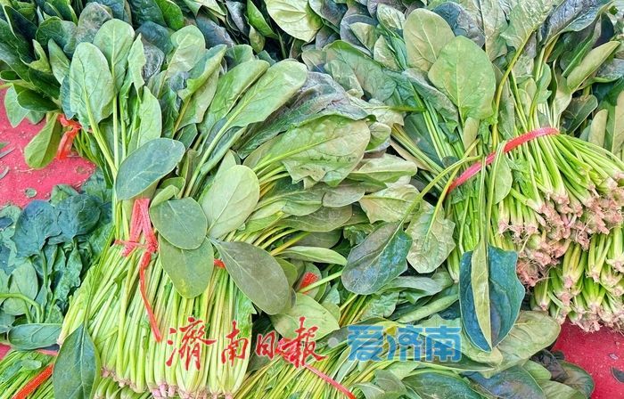 坐地铁“赶”滩头大集！香椿芽抢“鲜”上市 济南市民争相“打包春天”