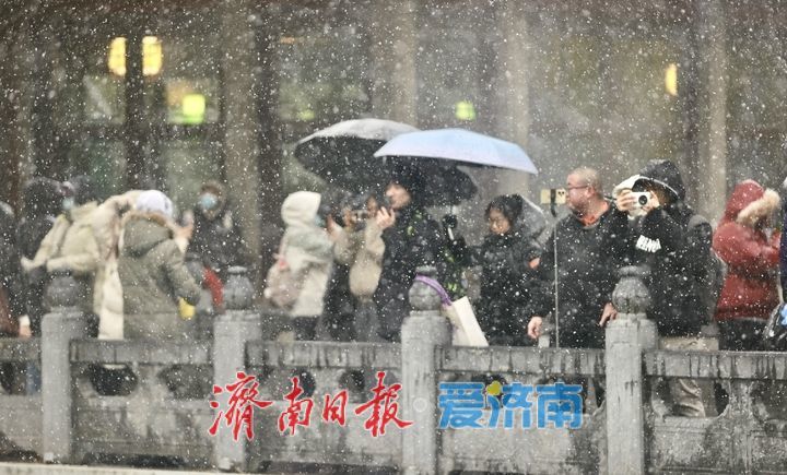 一年四季 泉在济南丨趵突泉“云雾润蒸”引客来