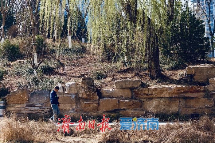 春日限定！腊山河公园柳芽萌动杏花盛放