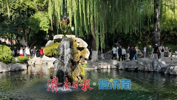 藕花年年盛 同作济南人——跟着元好问遍览泉城秋光