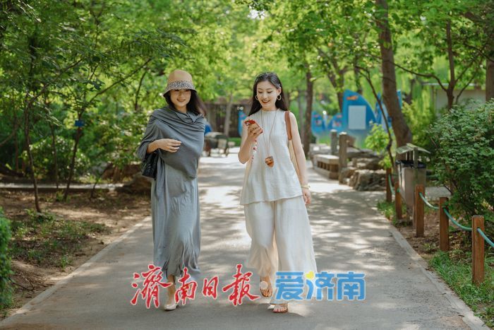 泉城荷韵盛放时，泉城公园荷花迎来最佳观赏期