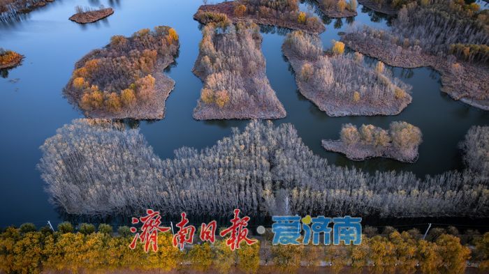 一年四季 泉在济南丨济南小清河源头湿地公园：冬日航拍镜头下，生态画卷静谧绚烂