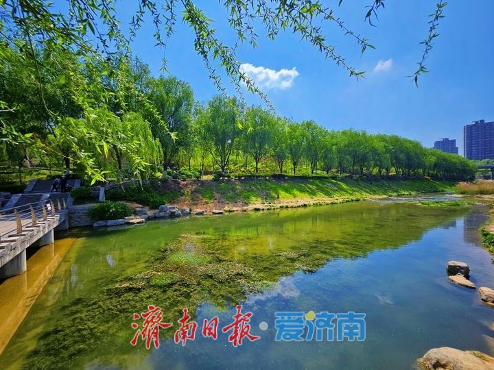 春意盎然满目新 龙鼎滨水公园尽展生态好风光
