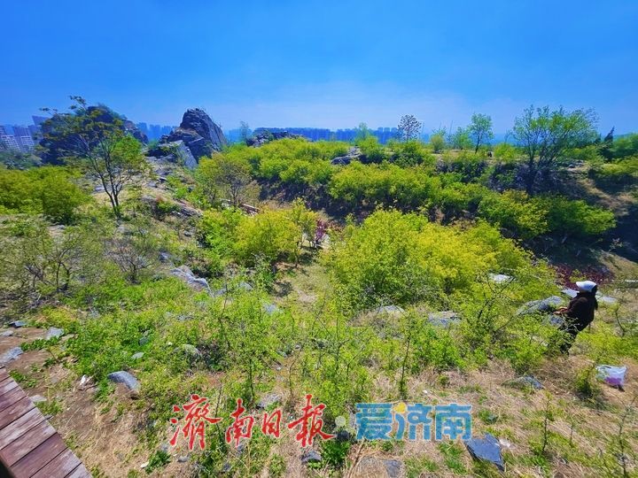 废矿披绿装  卧牛山地质公园华丽变身城市生态公园