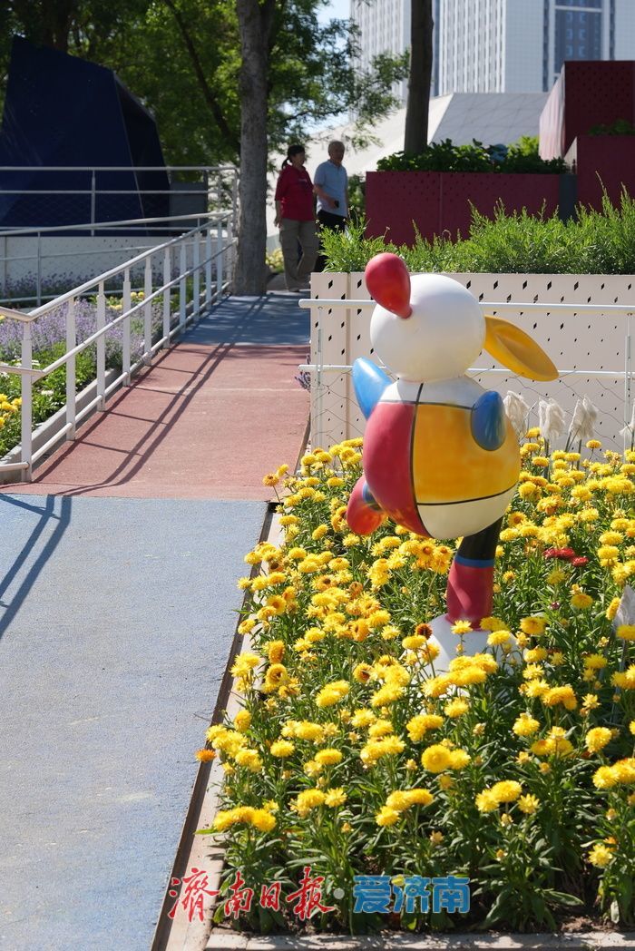 济南西部“七彩花田” 绽放如梦幻调色盘