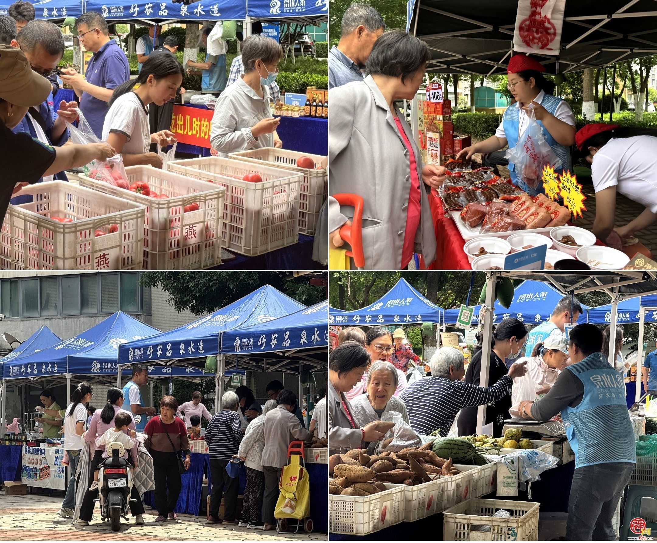 开市即售罄！泉水人家走进鑫苑国际城市花园 生鲜好物广受追捧