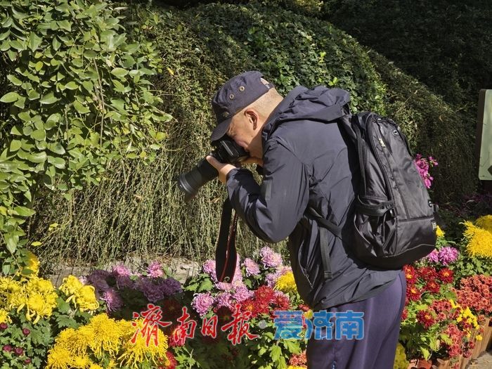 一年四季 泉在济南丨趵突泉金秋菊展进入最佳观赏期 “一菊连三园”共绘泉城初冬胜景