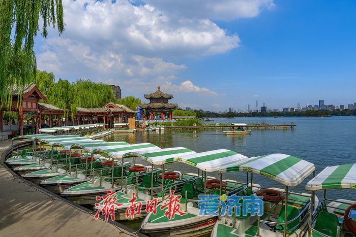 一年四季 泉在济南丨泉城消夏图鉴：大明湖成市民游客纳凉赏景“心头好”