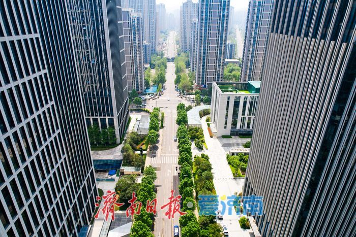 楼宇为框 春色入画